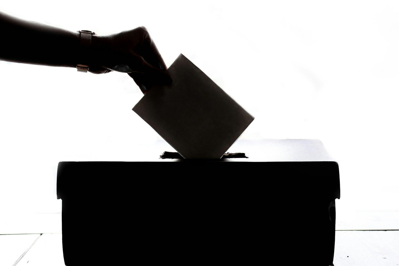 Governance Delegate Power Verification Before Proposal Vote