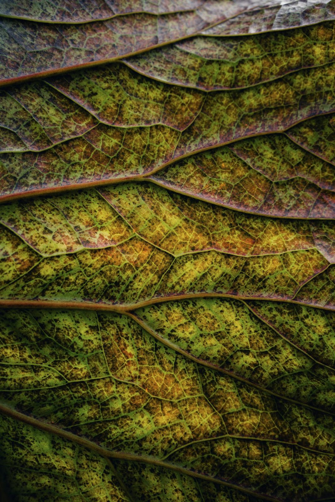 Monad DEX Protocols to Watch with Fresh Liquidity Routes and Early User Stickiness