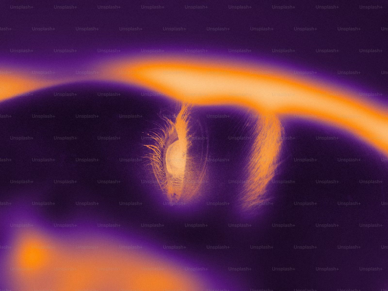 Sui Yield Protocols to Watch with Reward Source Clarity and Exit-Window Checks