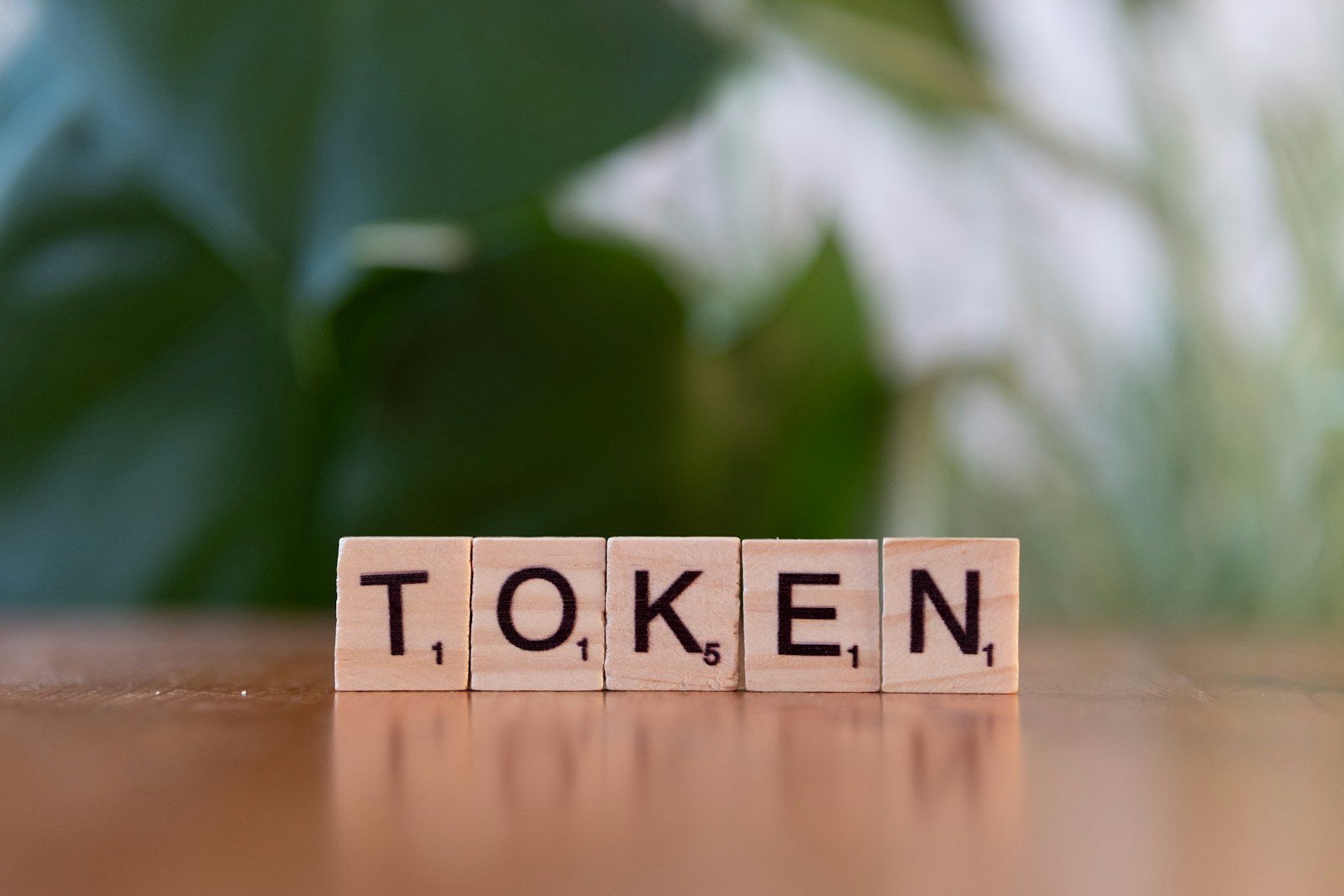 Token Contract Ownership Renounce Verification